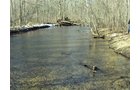 Property photo 1 - 66 Acres Offered in 3 Tracts